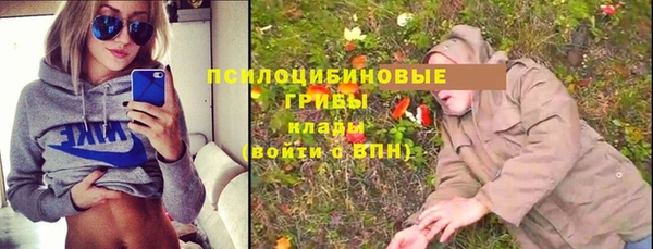 гашик Алзамай