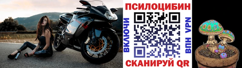 цены наркотик Старая Купавна Псилоцибиновые грибы ЛСД